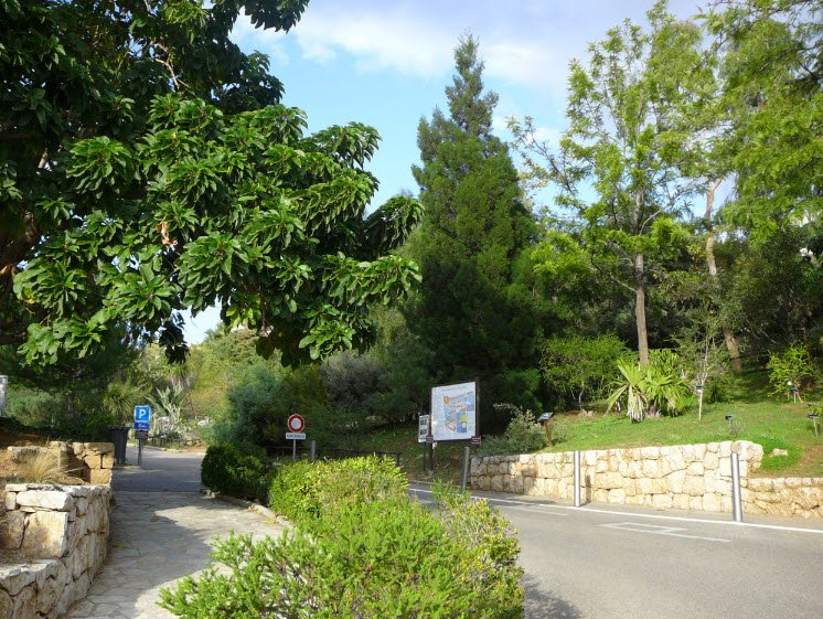 Jardin botanique de Nice, Nice, France, France